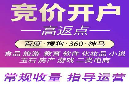 案例研究：如何通过竞价广告实现精准营销
